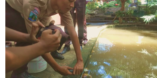 foto pelepasan ikan