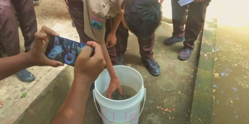 foto pelepasan ikan
