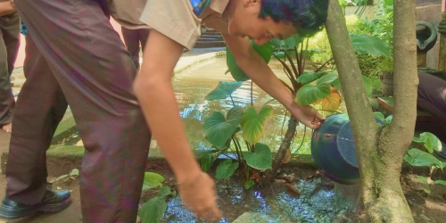 foto orang yang sedang menyiram